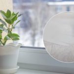 Výsledok vás prekvapí: recept na liek, ktorý vybieli plastový parapet